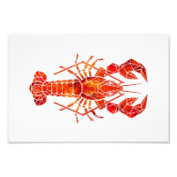 Homard polygonal rouge
