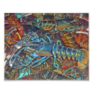 Impression Photo Homards dans une livre de homard, Maine