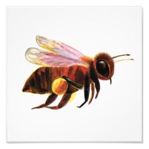 Impression Photo Honey Bee Flying