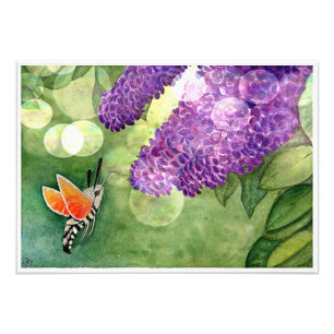 Impression Photo Hummingbird Hawk Moth and Lilacs