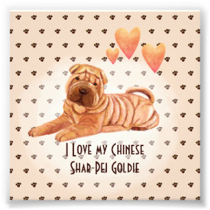 Impression Photo I Love My Chinese Shar-Pei Nom Dessin Personnalisé