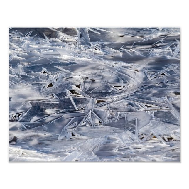 Impression Photo  Ice Not ICE (Devant)