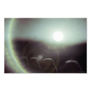 Impression Photo Icy Sun par Alexandra Cook