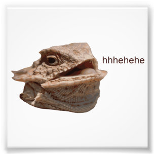 Impression Photo Iguana HeHe Lizard riant