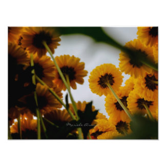 Impression Photo Il met en perspective