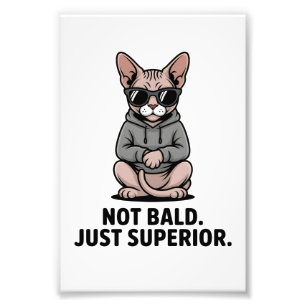 Impression Photo Illustration de l'attitude du chat Sphynx supérieu