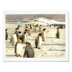 Impression Photo Illustration de pingouins en Antarctique