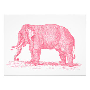 Impression Photo Illustration des éléphants roses vintages des anné