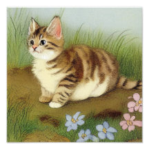 Illustration vintage Kitten avec fleurs