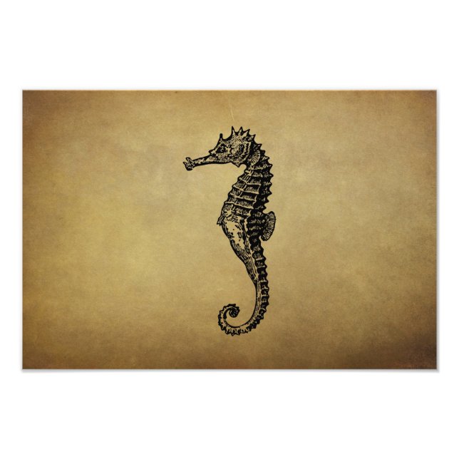 Impression Photo Illustration vintage Seahorse (Devant)