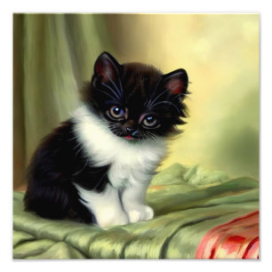 Impression Photo Illustration vintage Tuxedo Kitten