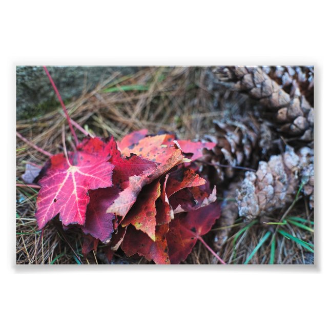 Impression Photo Ils tombent tous (Devant)