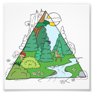 Impression Photo Image forestière