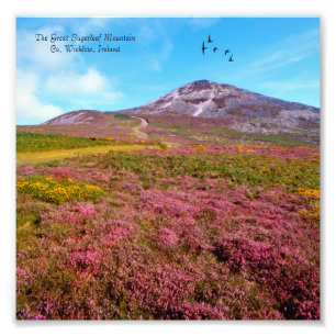 Impression Photo Image irlandaise pour NullValue-Photo-Enlargisseme