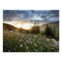 IMPRIMANTES ~ "Un coucher de soleil marquant"