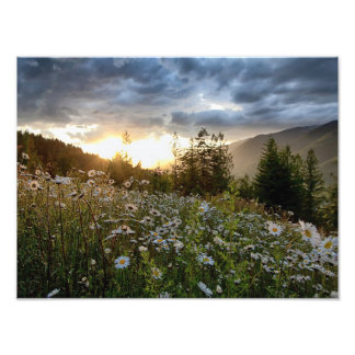 Impression Photo IMPRIMANTES ~ "Un coucher de soleil marquant"