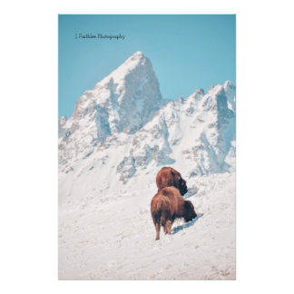 Impression Photo Imprimer mur Art Mountain Bison