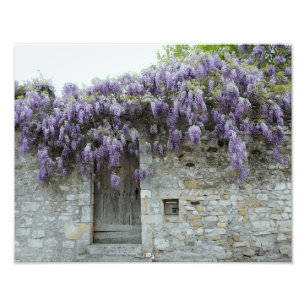 Impression Photo IMPRIMER - Wisteria Viviers France