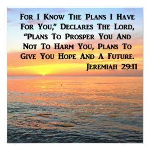 IMPRESSION PHOTO INSPIRANT JEREMIAH 29:11 SCELER