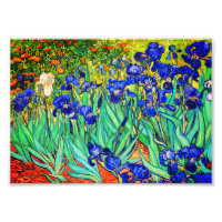 Iris de Vincent Van Gogh