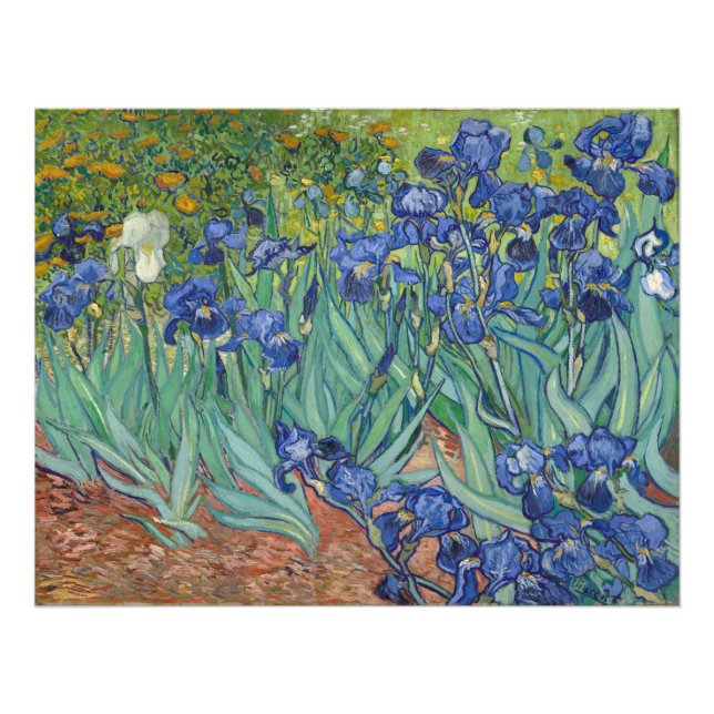 Impression Photo Iris Vincent Van Gogh (Devant)
