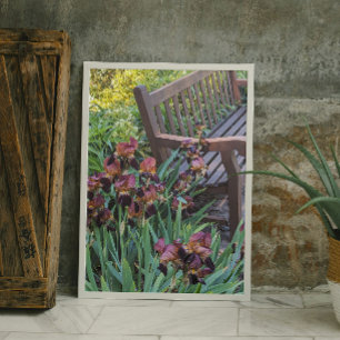Impression Photo Irises Blooms et Garden Park Bench Floral