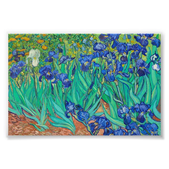 Impression Photo Irises par Vincent van Gogh (Devant)