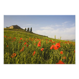 Impression Photo Italie, Toscane Villa toscane au printemps avec