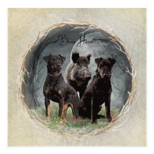 Impression Photo Jagdterrier, brave affiche de tapisserie cardiaque