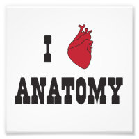 J'aime l'anatomie