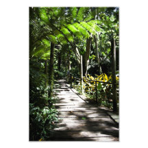 Jardin du géant endormi, Fidji