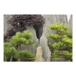 Impression Photo Jardin familial de Bao, Huangshan, Chine. 2