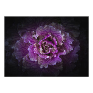 Impression Photo Jardin Fleurs No 42 Version couleur