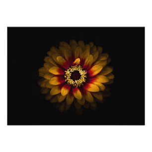 Impression Photo Jardin Fleurs No 69 Version couleur