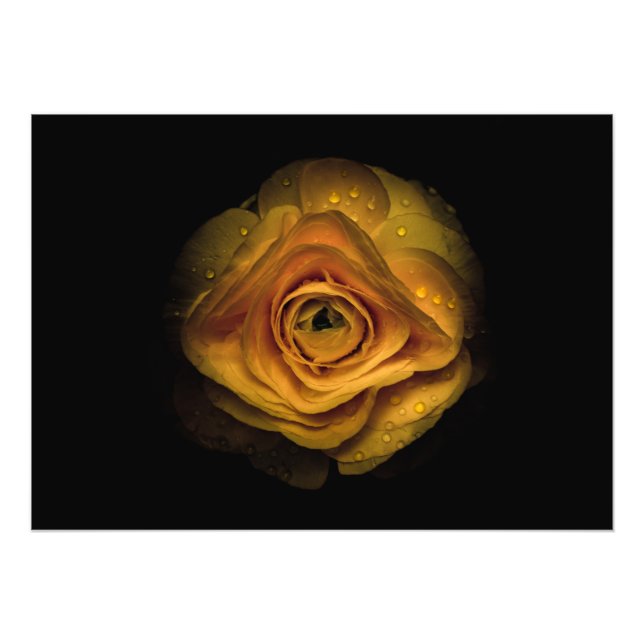 Impression Photo Jardin Fleurs No 74 Version couleur (Devant)