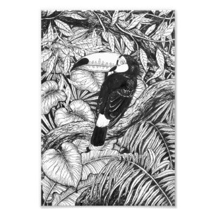 Impression Photo Jardin tropical toucan