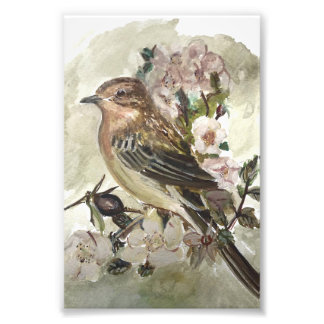 Impression Photo Jaune Jardin de Wagard imprimé aquarelle d'oiseau