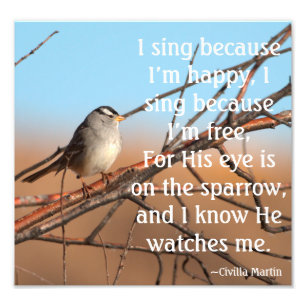 Impression Photo Je chante parce que je suis heureux Sparrow