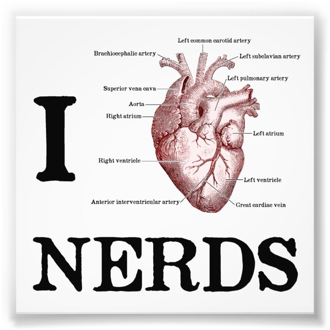 Impression Photo Je Coeur Nerds (Devant)