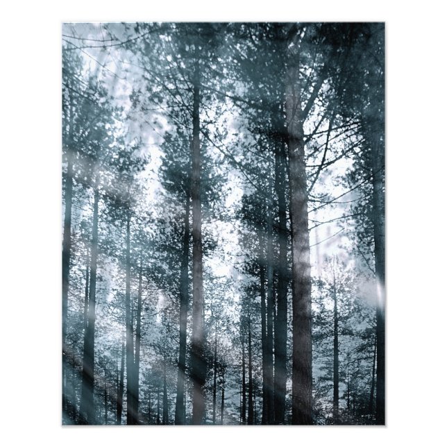 Impression Photo Je parle aux arbres... (Devant)