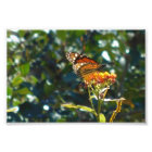 Je suis maintenant à la maison