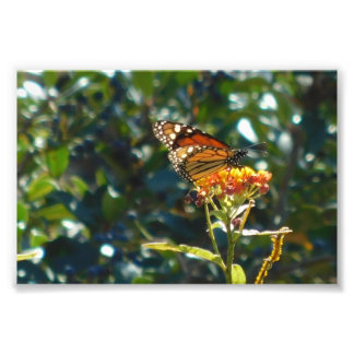 Impression Photo Je suis maintenant à la maison