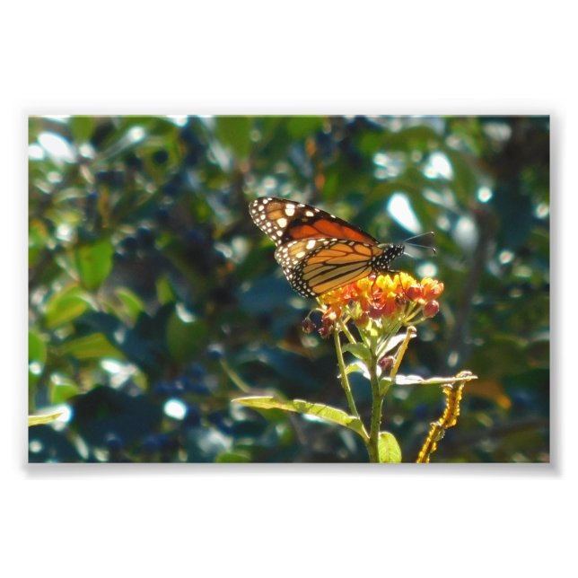 Impression Photo Je suis maintenant à la maison (Devant)