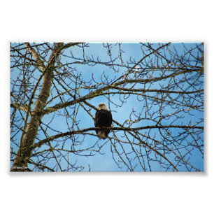 Impression Photo Je vous regarde