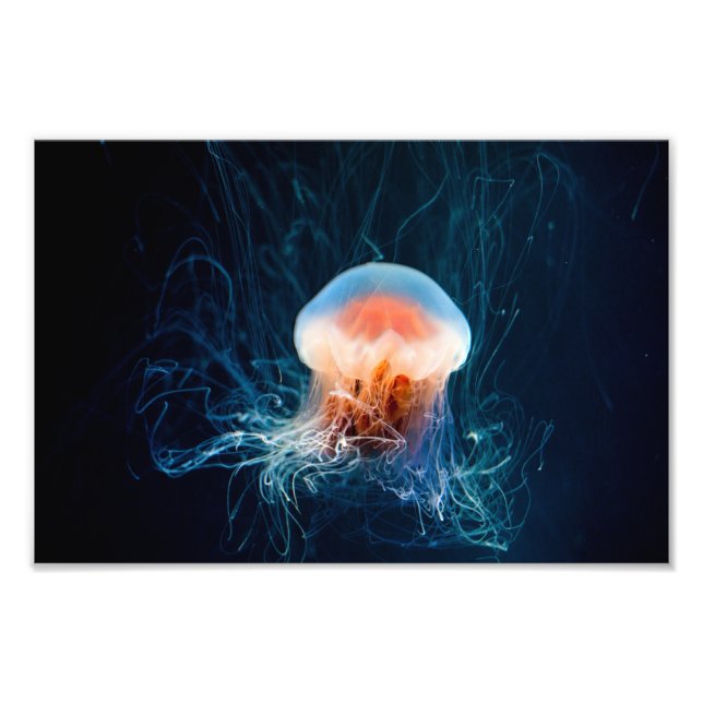 Impression Photo Jellyfish Underwater - Dark Glow (Devant)