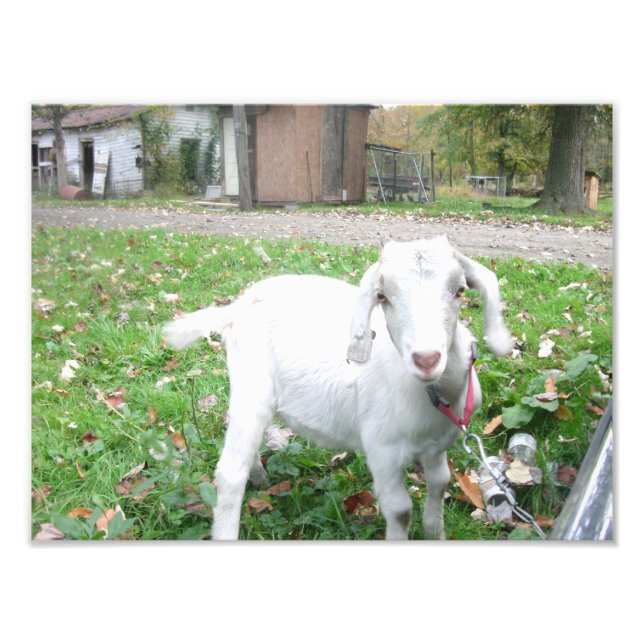 Impression Photo Jeune enfant (Devant)