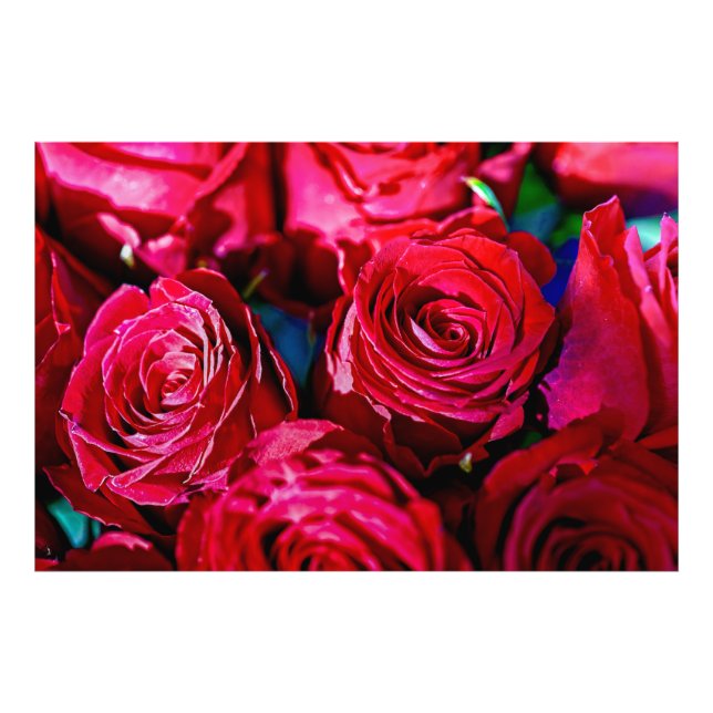 Impression Photo Joli Ensemble De Roses Rouges (Devant)