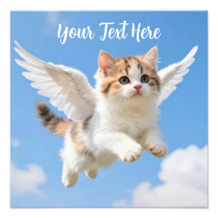 Impression Photo Joli Petit Chat Calico Tabby Volant Ciel Bleu