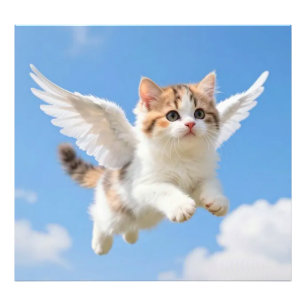 Impression Photo Joli Petit Chat Calico Tabby Volant Ciel Bleu