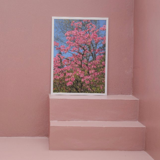 Impression Photo Joli rose Azaleas Floral (In Situ (Framed))